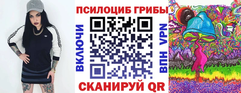 Купить закладки  Богданович  Псилоцибиновые грибы Cubensis 